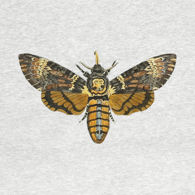 Sleepy Hollow Death Head Hawkmoth by RedThorThreads